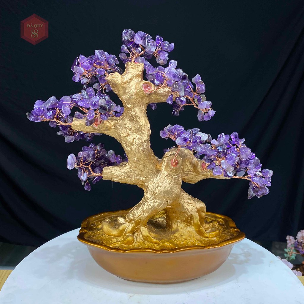 Cây Tài Lộc Đá TA Tím Tự nhiên M03