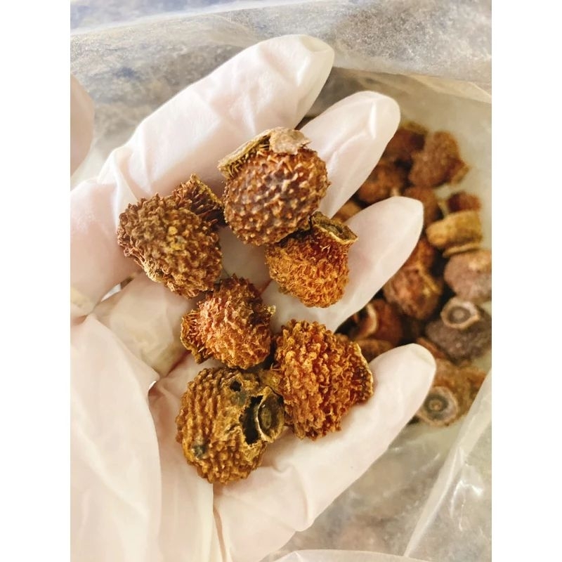 Lê Gai Quý Châu khô, Vua VITAMIN C 50g-100g-250g gấp 800 lần hoa quả khác