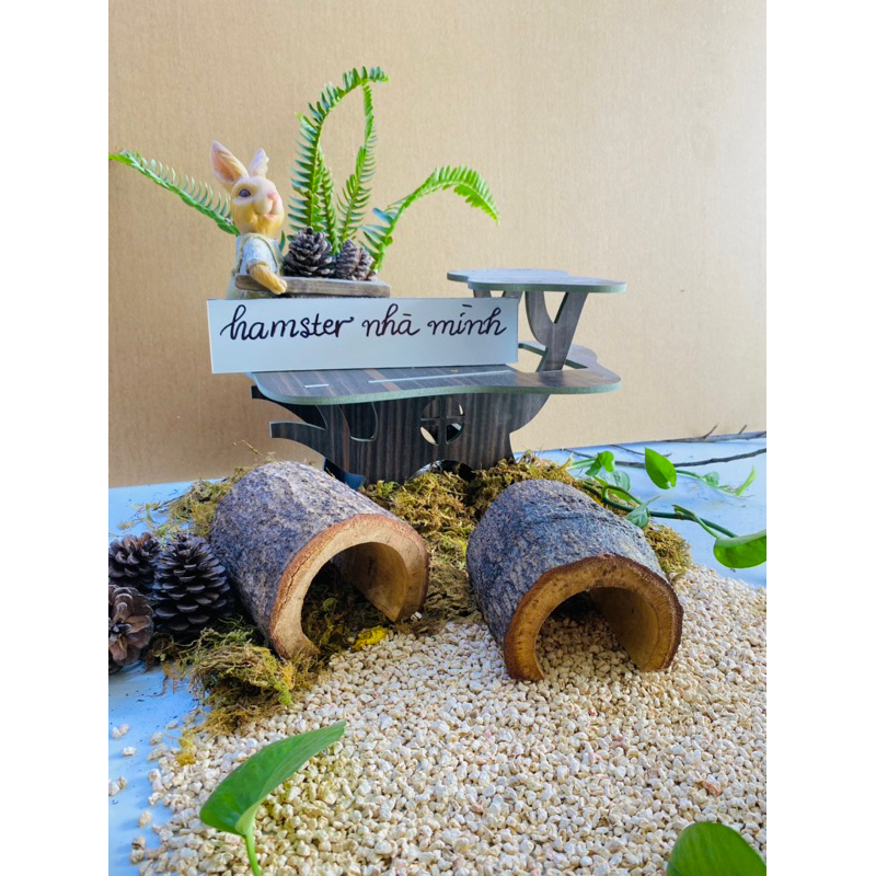 Hang gỗ cho hamster gỗ thông tự nhiên