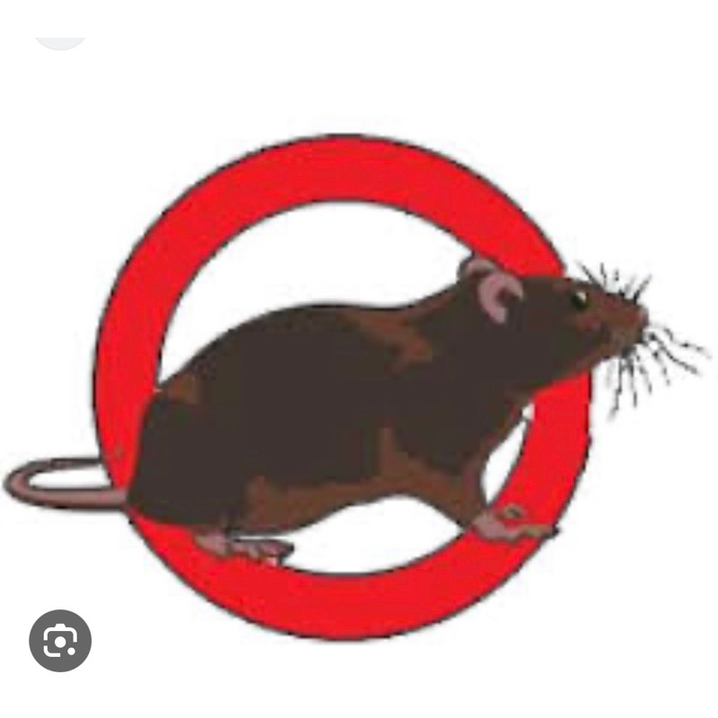 Chế phẩm chuột dạng viên, sinh học, an toàn cho người và vật nuôi 20v/gói