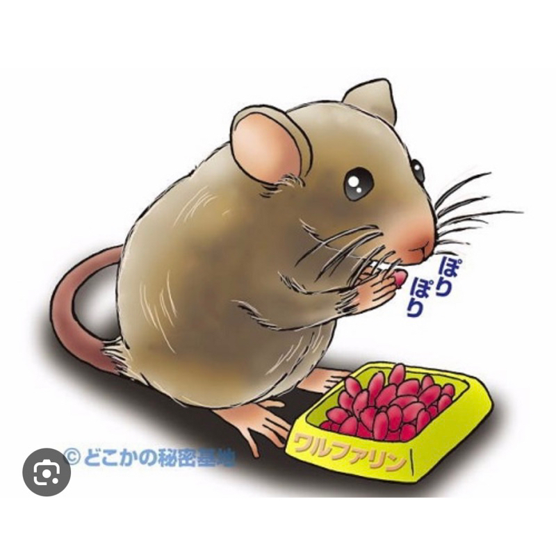 Chế phẩm chuột dạng viên, sinh học, an toàn cho người và vật nuôi 20v/gói