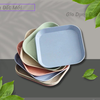 Set 8 đĩa lúa mạch tiện dụng 【 T4 P27 A0 】