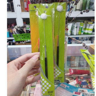 Cây Ráy Tai Kềm Nghĩa