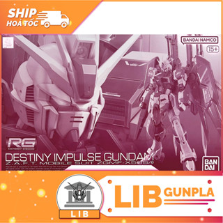  Mô Hình Lắp Ráp Gundam RG 1 144 Destiny Impulse Gundam  P-Bandai  