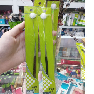 Cây Ráy Tai Kềm Nghĩa