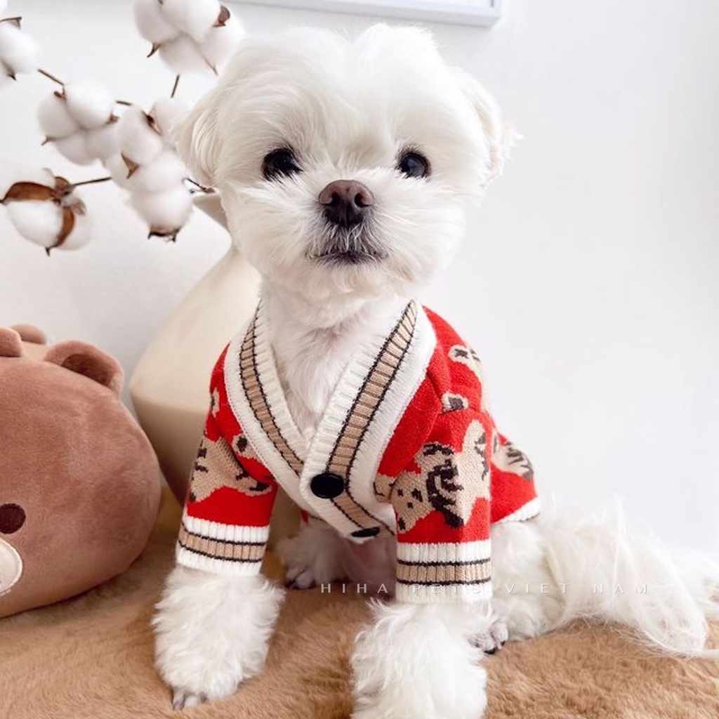 Áo Len Đan Dễ Thương Cho Chó Mèo Mặc Ấm Áp Quần Áo Cho Thú Cưng Cao Cấp Hàn Quốc Hiha Pets.