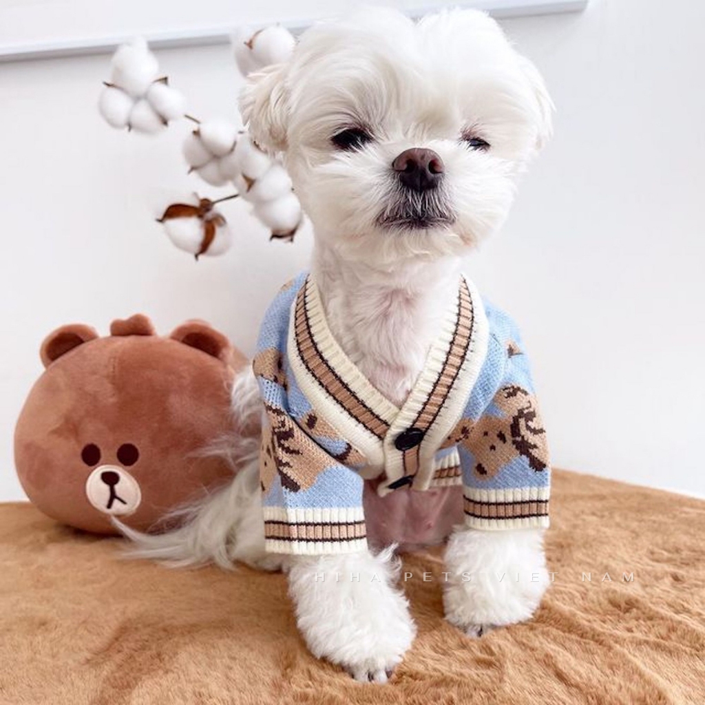 Áo Len Đan Dễ Thương Cho Chó Mèo Mặc Ấm Áp Quần Áo Cho Thú Cưng Cao Cấp Hàn Quốc Hiha Pets.