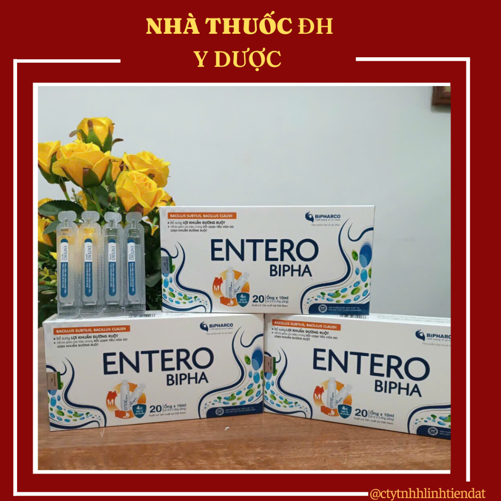 MEN ENTERO BIPHA 4 TỶ BÀO TỬ LỢI KHUẨN