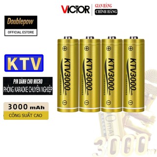 Combo 4 viên Pin tiểu sạc AA Doublepow 3000mAh chuyên dùng Karaoke Micro công suất cao