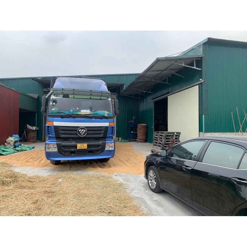 MEN RƯỢU BÔNG LÚA VÀNG