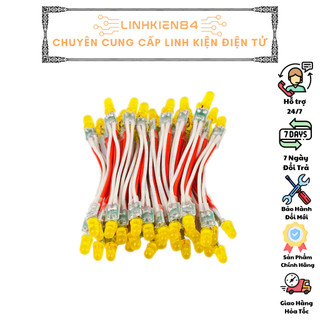 LED Liền Dây Phi 5 100 Bóng Nhiều Màu