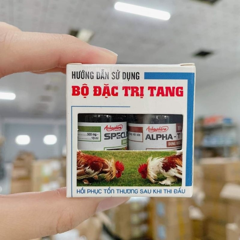 Bộ phục hồi Gà đá bị Tang sau trận đấu