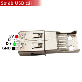 Đầu USB Type A Đực || Cái (1 cái)
