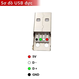 Đầu USB Type A Đực || Cái (1 cái)
