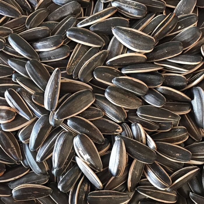 Gói to 80G hạt hướng dương thơm ngon, hạt hướng dương nguyên vị, hướng dương tẩm vị dừa, óc chó