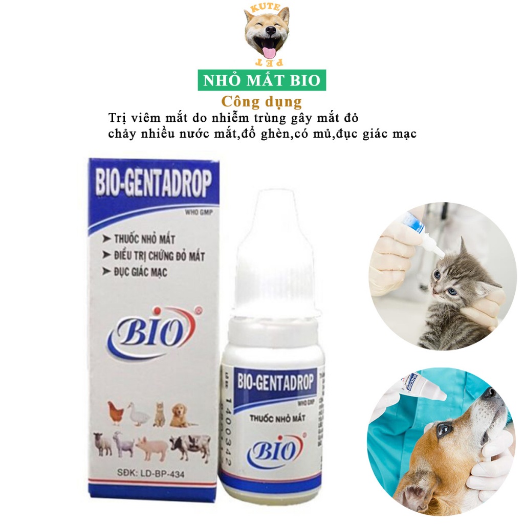 Nhỏ mắt chó mèo Bio genta drop - trị đau mắt đục giác mạc viêm đỏ ngứa vệ sinh mắt thú cưng