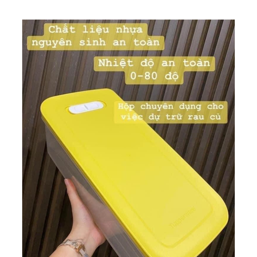 Hộp upperware Ventsmart 6.1L Trữ Mát Chính Hãng Thần Thánh  Chất Liệu Cao Cấp  Nhà Sạch 365