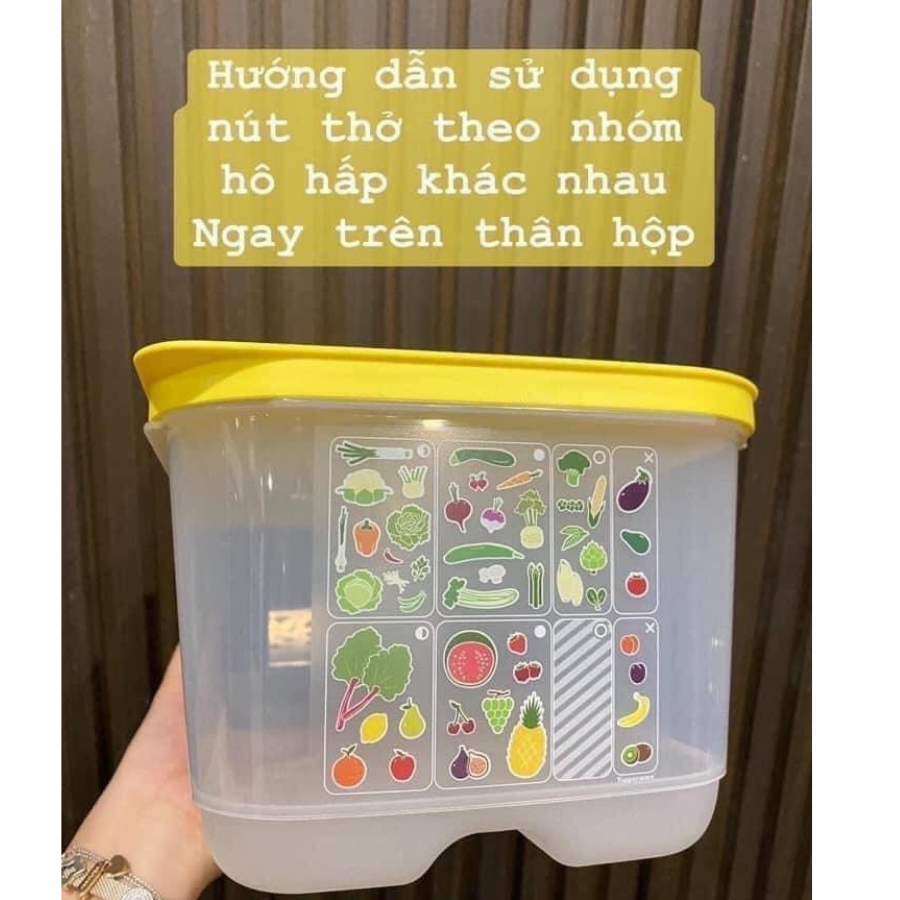 Hộp upperware Ventsmart 6.1L Trữ Mát Chính Hãng Thần Thánh  Chất Liệu Cao Cấp  Nhà Sạch 365