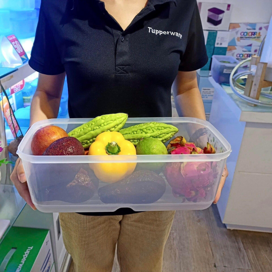 Hộp upperware Ventsmart 6.1L Trữ Mát Chính Hãng Thần Thánh  Chất Liệu Cao Cấp  Nhà Sạch 365