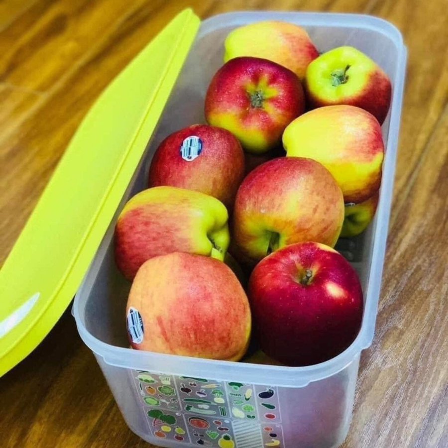 Hộp upperware Ventsmart 6.1L Trữ Mát Chính Hãng Thần Thánh  Chất Liệu Cao Cấp  Nhà Sạch 365