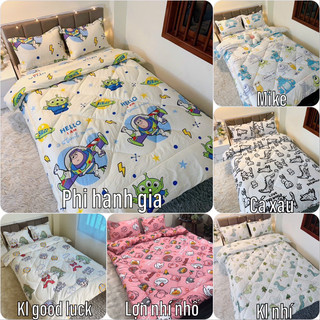 Bộ chăn phao 5 món cotton poly chăn ga gối + vỏ ôm