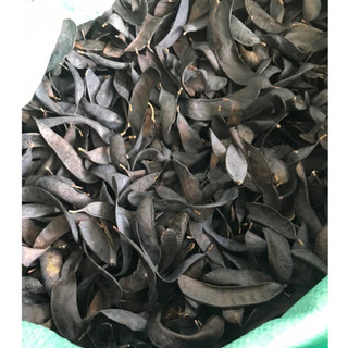 Bồ kết khô 1kg (bồ kết xô, lép hàng như hình)