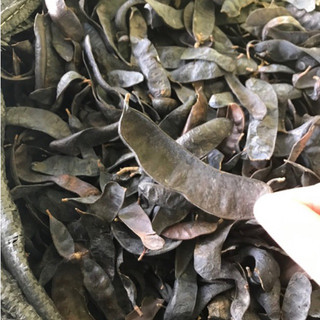 Bồ kết khô 1kg (bồ kết xô, lép hàng như hình)