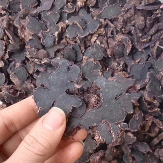 500g Gừng Đen (Ngải Đen) củ gừng đen khô