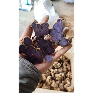 500g Gừng Đen (Ngải Đen) củ gừng đen khô