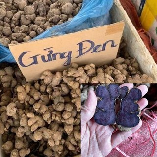 500g Gừng Đen (Ngải Đen) củ gừng đen khô