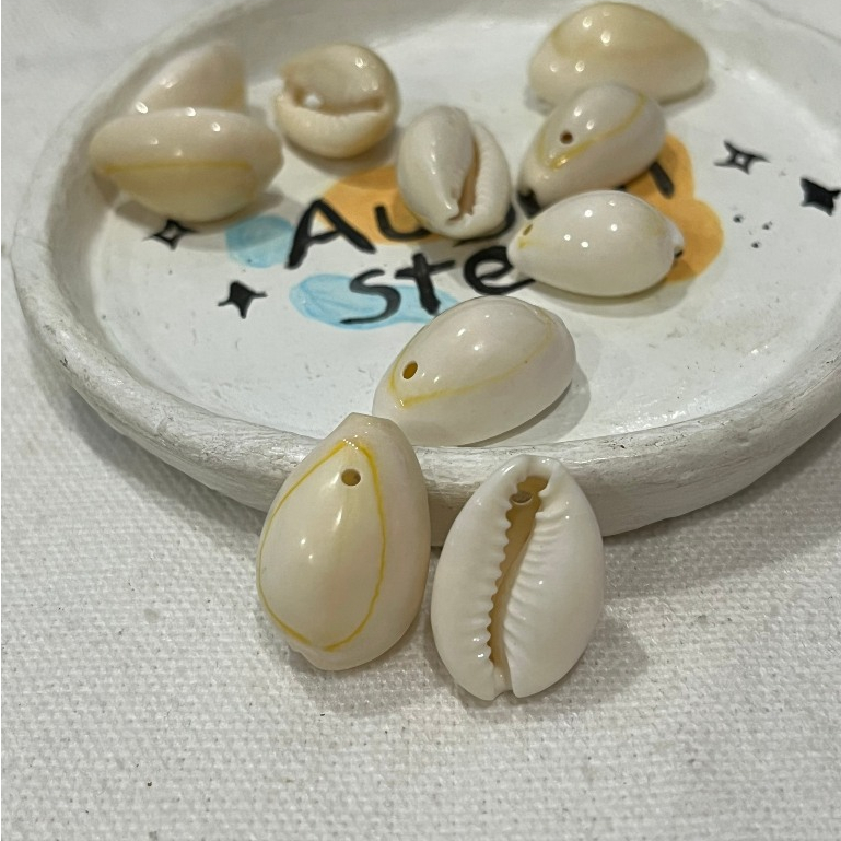 Set 10 charm vỏ sò thật dùng làm đồ handmade