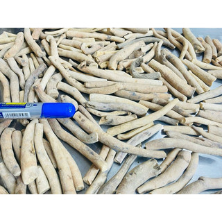 Bạch Thược Nguyên Củ[1KG]