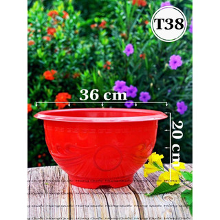 [ 10 Cái ] Chậu Nhựa T38 Đỏ Dày Dặn