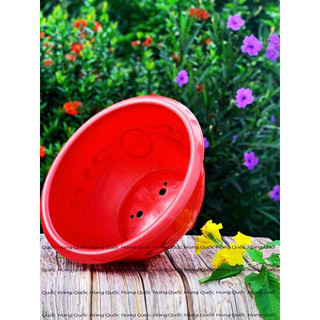 [ 5 cái ] chậu nhựa trồng cây T58 (miệng 55cm x27cm) dày dặn