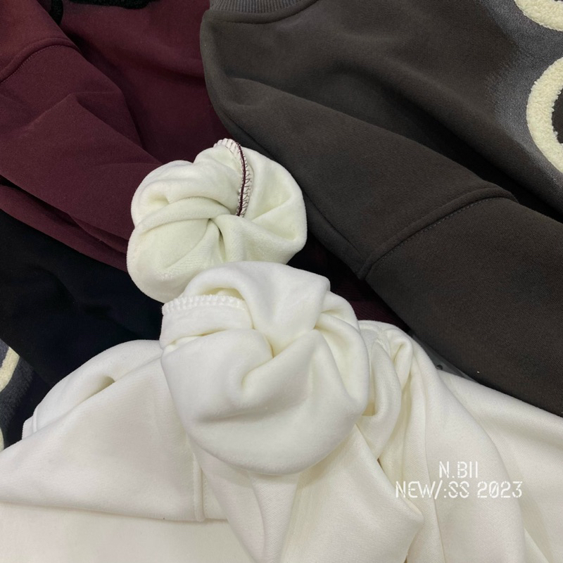 Áo nỉ lót lông nhung Mickey thêu hàng QCL1