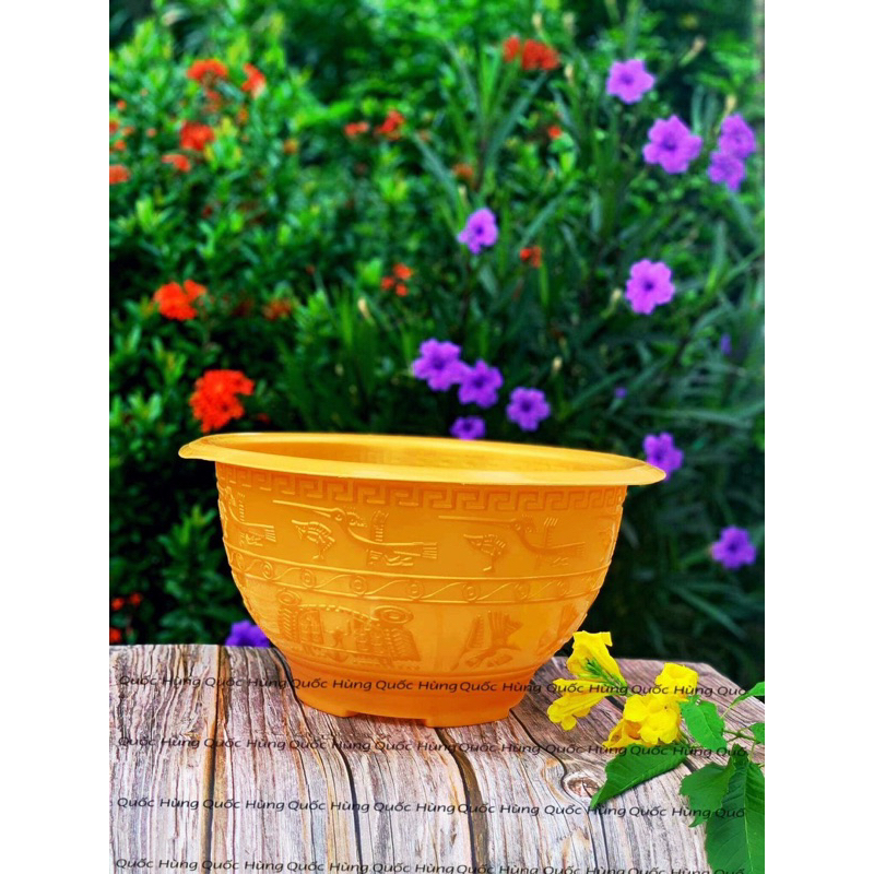 Chậu Nhựa T48 Vàng Dày Dặn