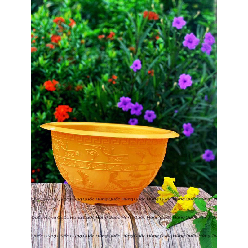 Chậu Nhựa T48 Vàng Dày Dặn