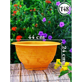Chậu nhựa t48 vàng dày dặn