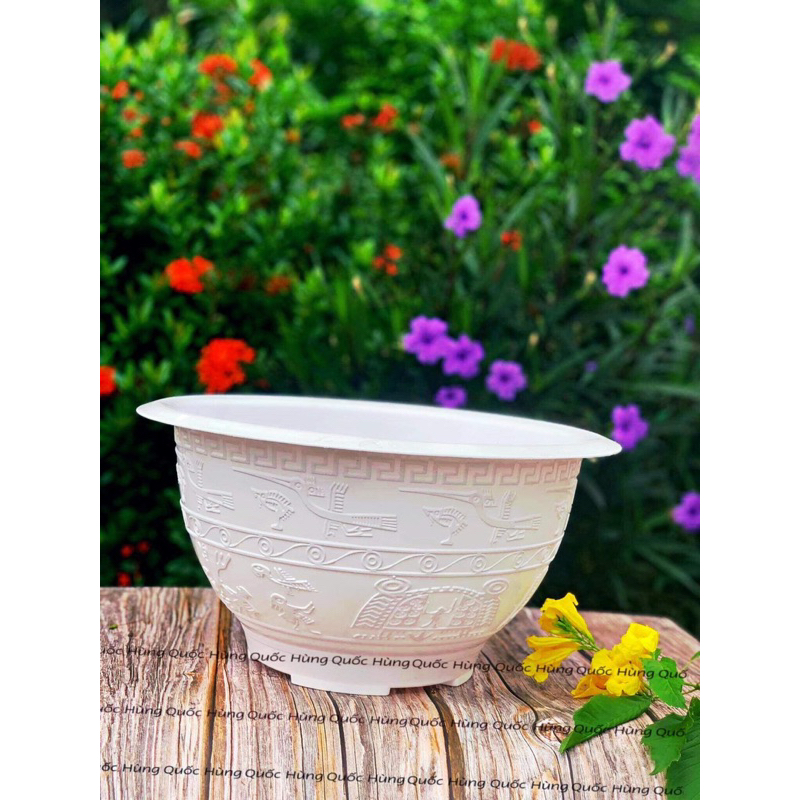 Chậu Nhựa T48 Trắng Dầy Dặn