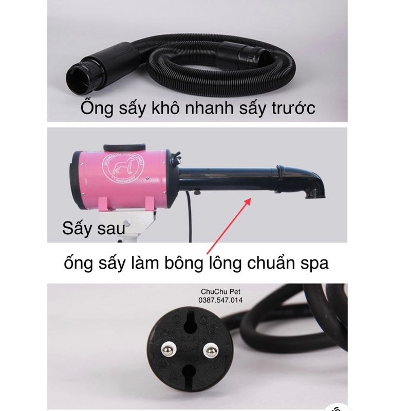 Bộ máy sấy đứng Chunzhou Bs2400 kèm chân và ống thổi sấy mặt,sấy bông cho chó mèo-ChuChu pet