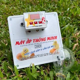 MÁY ẤP TRỨNG THÔNG MINH TỰ ĐỘNG