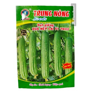 Hạt giống Dưa Chuột Nếp 1gr giống tự thụ phấn, cây khỏe, năng suất cao