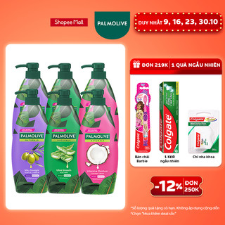 Bộ 2 Dầu gội Palmolive kèm dầu xả chiết xuất thiên nhiên 600ml