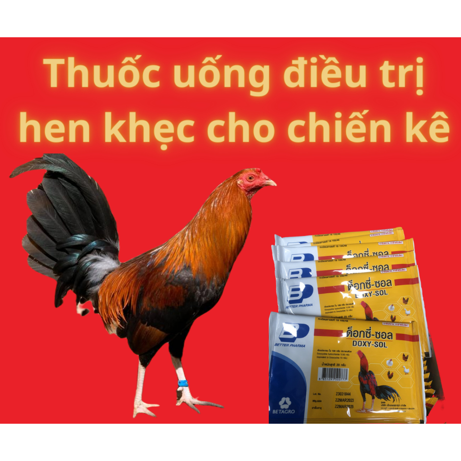 Úm gà con, tăng cường đề kháng cho gà đá