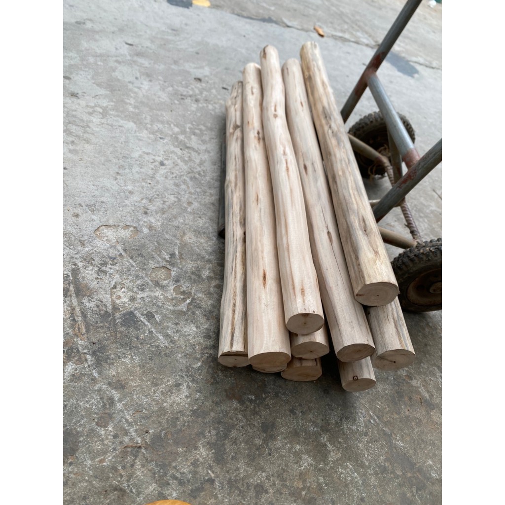 Cành cây, thân cây củi khô  bằng gỗ bạch đàn đường kính 5-6cm làm đồ handmade, trang trí nhà