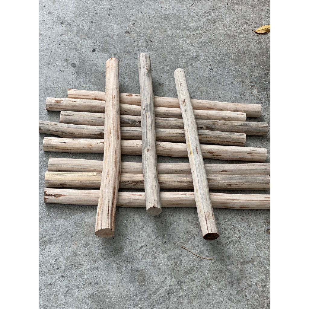 Cành cây, thân cây củi khô  bằng gỗ bạch đàn đường kính 5-6cm làm đồ handmade, trang trí nhà