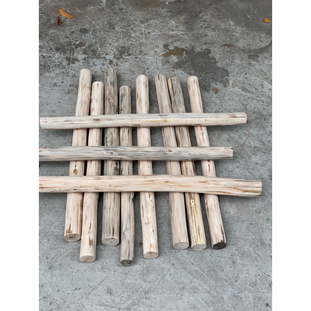 Cành cây, thân cây củi khô  bằng gỗ bạch đàn đường kính 5-6cm làm đồ handmade, trang trí nhà