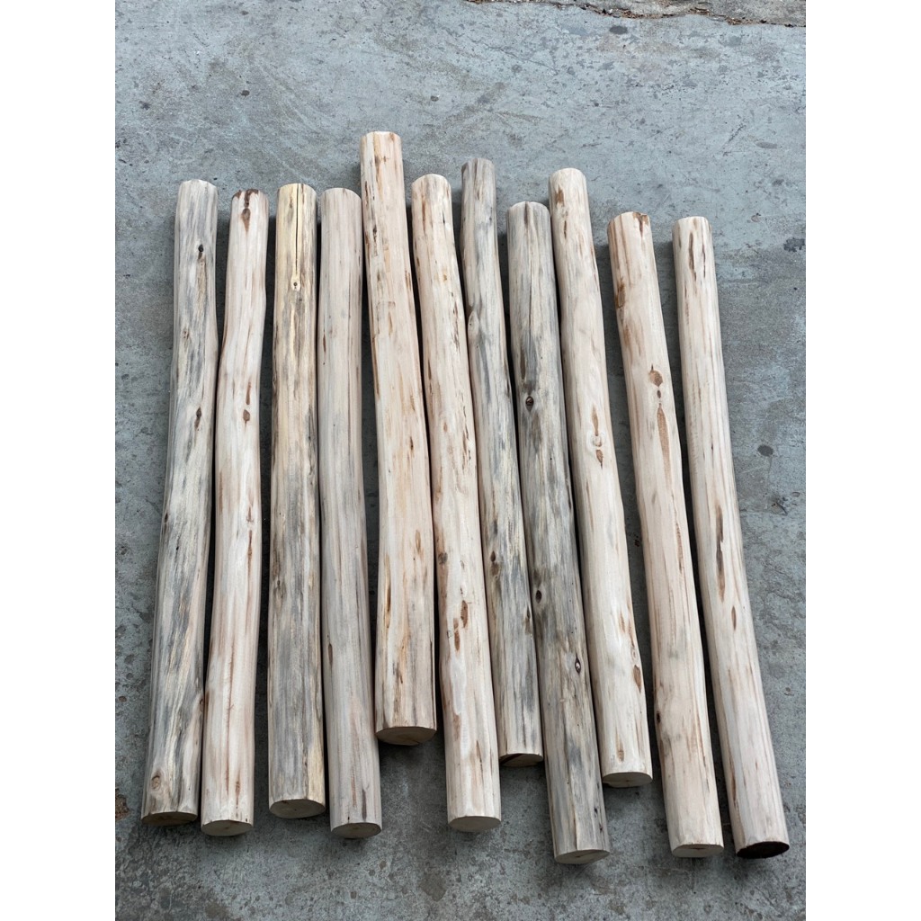 Cành cây, thân cây củi khô  bằng gỗ bạch đàn đường kính 5-6cm làm đồ handmade, trang trí nhà