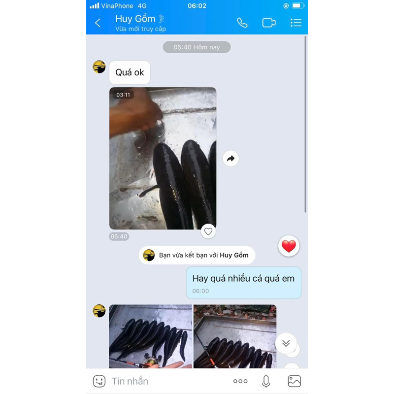 Lưỡi câu cá lóc nòng cỏ, thái lai càm bà già, dầy 2,4ly, dài 6 phân