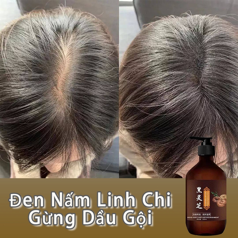 Dầu Gội Đen Nấm Linh Chi Gừng Dầu Gội Thảo Dược Mọc Tóc Kiểm Soát Dầu Chống Gàu Biến Tóc Trắng Thành Tóc Đen